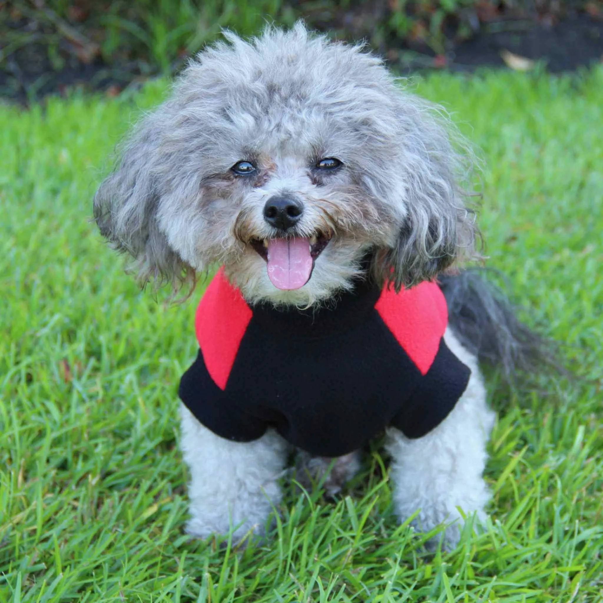 Highline Fleece Dog Coat